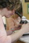 Preview: Chemische Mineral Haaranalyse
