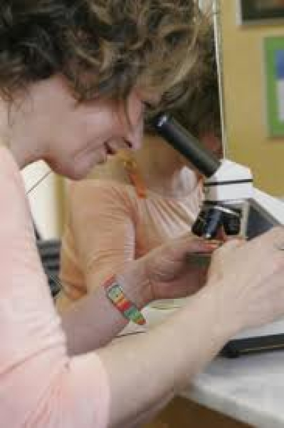Chemische Mineral Haaranalyse